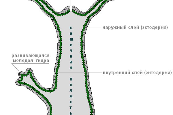 Каталог онион